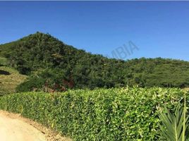  Terreno (Parcela) en venta en Anapoima, Cundinamarca, Anapoima