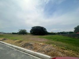  Land for sale in Palmira, Valle Del Cauca, Palmira