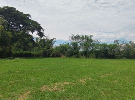  Land for sale in Palmira, Valle Del Cauca, Palmira