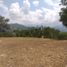  Land for sale in La Mesa, Cundinamarca, La Mesa