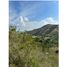  Land for sale in Palmira, Valle Del Cauca, Palmira