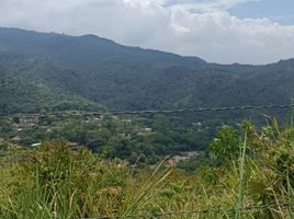  Terreno (Parcela) en venta en Cali, Valle Del Cauca, Cali