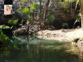  Grundstück zu verkaufen in Cozumel, Quintana Roo, Cozumel