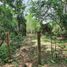 Studio Villa zu verkaufen in Tixcacalcupul, Yucatan, Tixcacalcupul