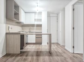1 Bedroom Apartment for rent in Cordillera, Santiago, San Jode De Maipo, Cordillera