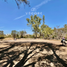  Land for sale in Zapotlanejo, Jalisco, Zapotlanejo, Jalisco