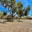  Land for sale in Zapotlanejo, Jalisco, Zapotlanejo, Jalisco