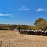  Land for sale in Zapotlanejo, Jalisco, Zapotlanejo, Jalisco