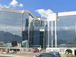 236 m2 Office for rent in Nuevo Leon, Monterrey, Nuevo Leon