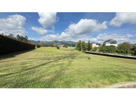  Terreno (Parcela) en venta en Rionegro, Antioquia, Rionegro