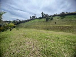  Grundstück zu verkaufen in El Carmen De Viboral, Antioquia, El Carmen De Viboral