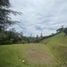  Terrain for sale in El Carmen De Viboral, Antioquia, El Carmen De Viboral