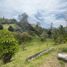  Terrain for sale in El Carmen De Viboral, Antioquia, El Carmen De Viboral