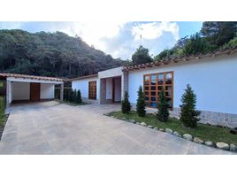3 Schlafzimmer Haus zu verkaufen in La Ceja, Antioquia, La Ceja