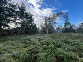  Terreno (Parcela) en venta en Guarne, Antioquia, Guarne