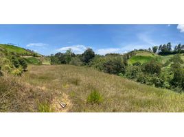  Land for sale in Marinilla, Antioquia, Marinilla