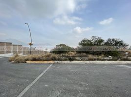  Terreno (Parcela) en venta en Santa Catarina, Nuevo León, Santa Catarina