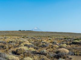  Land for sale in Huiliches, Neuquen, Huiliches