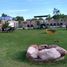 4 Bedroom House for sale in Las Heras Mendoza, Las Heras