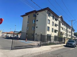 3 Habitación Apartamento en alquiler en Rauco, Curicó, Rauco