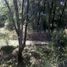  Land for sale in Uruapan, Michoacan, Uruapan