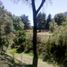  Land for sale in Uruapan, Michoacan, Uruapan