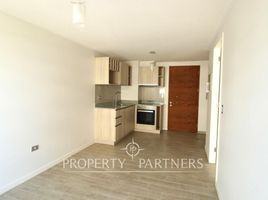 1 Schlafzimmer Appartement zu vermieten in Feria Pinto, Cautin, Nueva Imperial, Cautin