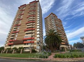 1 chambre Appartement for rent in Araucania, Nueva Imperial, Cautin, Araucania