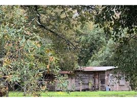  Terreno (Parcela) en venta en Chile, Los Lagos, Valdivia, Los Ríos, Chile