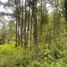  Terreno (Parcela) en venta en Chile, Villarrica, Cautín, Araucanía, Chile