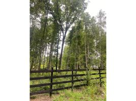  Terreno (Parcela) en venta en Chile, Villarrica, Cautín, Araucanía, Chile