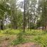  Terreno (Parcela) en venta en Chile, Villarrica, Cautín, Araucanía, Chile