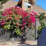 3 Bedroom House for rent in Colina, Chacabuco, Colina