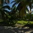  Land for sale in Dzemul, Yucatan, Dzemul