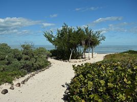  Grundstück zu verkaufen in Dzemul, Yucatan, Dzemul