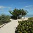  Land for sale in Dzemul, Yucatan, Dzemul