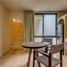 1 Bedroom Apartment for rent in Cozumel, Quintana Roo, Cozumel, Quintana Roo