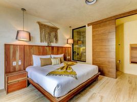 1 Bedroom Apartment for rent in Cozumel, Quintana Roo, Cozumel, Quintana Roo