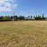  Terrain for sale in Monte, Buenos Aires, Monte