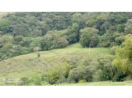 2 Bedroom House for sale in Colombia, Armenia, Quindio, Colombia