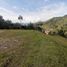 Terrain à vendre à La Ceja, Antioquia, La Ceja, Antioquia