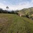 Terrain à vendre à La Ceja, Antioquia, La Ceja, Antioquia
