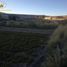  Land for sale in Chile, Calama, El Loa, Antofagasta, Chile