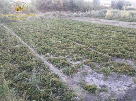 Land for sale in Chile, Calama, El Loa, Antofagasta, Chile