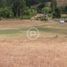  Land for sale in Cautin, Araucania, Nueva Imperial, Cautin
