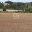 Land for sale in Cautin, Araucania, Nueva Imperial, Cautin
