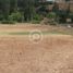  Land for sale in Cautin, Araucania, Nueva Imperial, Cautin