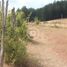  Land for sale in Cautin, Araucania, Nueva Imperial, Cautin