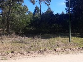  Grundstück zu verkaufen in Pinamar, Buenos Aires, Pinamar