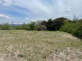  Land for sale in Colon, Cordoba, Colon